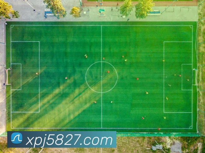 新葡京在线网址全站App 新葡京在线网址全站App